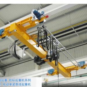 �Wʽ���ؙC(j��) European type crane