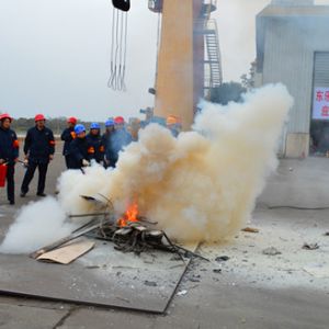 �طN�O���¹ʈ����{��̎��Ҏ(gu��)��