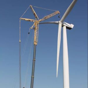 ��������������r���ؙC�а���Dufour�����˵�100�_LTM 1750-9.1