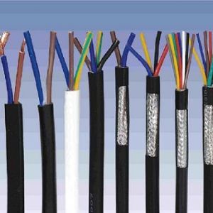 ������|����|���N��е�һ�N��ʲô�ǿ�����|��